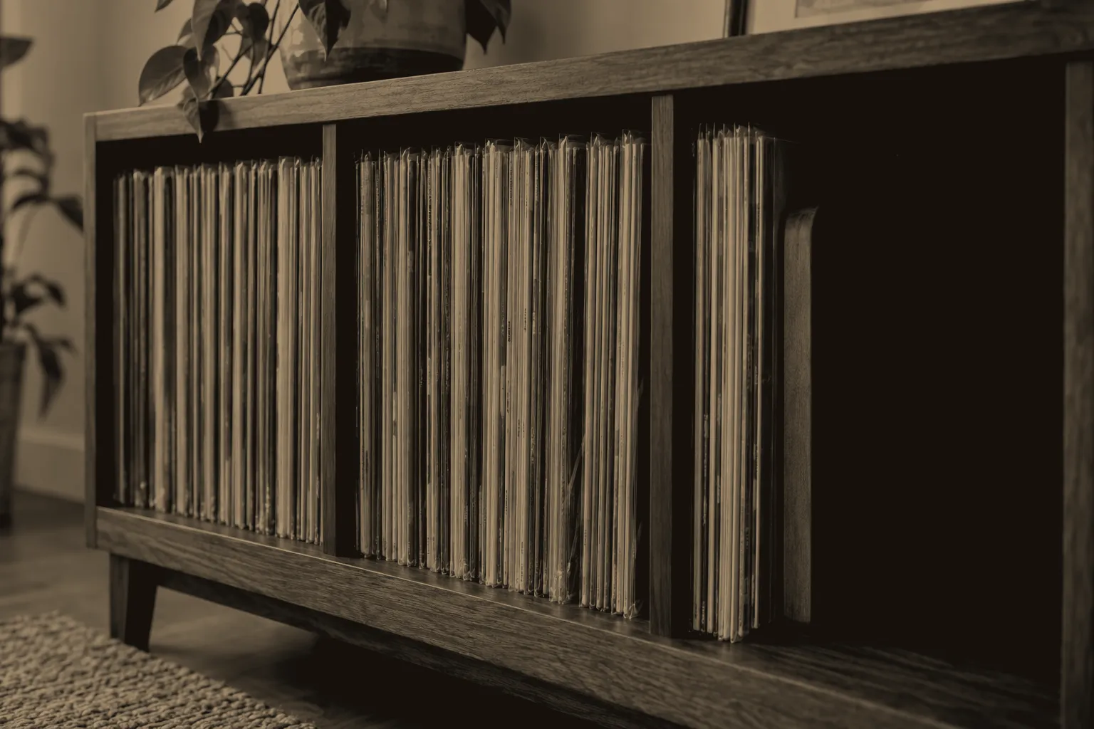 Vinyl records in clear outer sleeves stand upright between wooden dividers and a bookend on a raised walnut shelf.